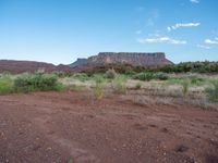 Exploring an Open Space: Utah's Canyon Filled with Grass