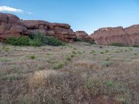 The Beautiful Canyon of Utah: An Open Space with Abundant Greenery