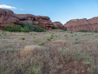 The Beautiful Canyon of Utah: An Open Space with Abundant Greenery