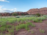 Utah Canyon: An Open Space of Nature