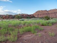 Utah Canyon: An Open Space of Nature