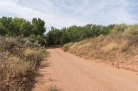 Utah Canyonlands Cedar Mesa Comb Wash 001