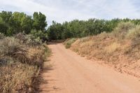 Utah Canyonlands: Cedar Mesa Comb Wash 002