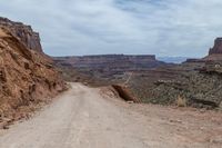 a horse is standing on the side of a dirt road near an expansive canyon in the background