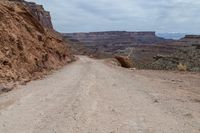 a horse is standing on the side of a dirt road near an expansive canyon in the background