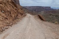 a horse is standing on the side of a dirt road near an expansive canyon in the background