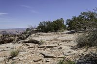 a rocky cliff face with trees in the foreground and a rocky outcrop in the background