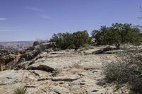 a rocky cliff face with trees in the foreground and a rocky outcrop in the background