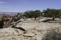 a rocky cliff face with trees in the foreground and a rocky outcrop in the background