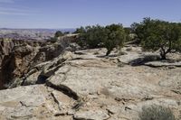 a rocky cliff face with trees in the foreground and a rocky outcrop in the background