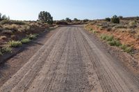 Utah Canyonlands: Red Rock Road with Lot of Clear Skies