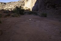 rocks in a desert with trees and bushes below them in the foreground and sky above the cliff