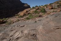 Rugged Landscape of Utah's Canyonlands