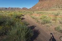 Utah Canyonlands Scenic Drive Dawn 001