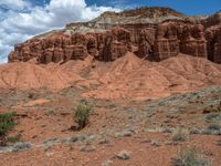 desert with rock formations, bushes and trees in front of a cloudy sky at canyon edge