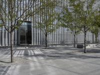 a lone bench and several trees against a backdrop of a building with multiple windows and tall steel mesh doors