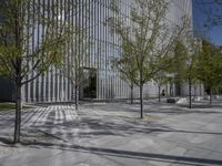 a lone bench and several trees against a backdrop of a building with multiple windows and tall steel mesh doors