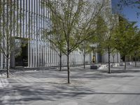 a lone bench and several trees against a backdrop of a building with multiple windows and tall steel mesh doors