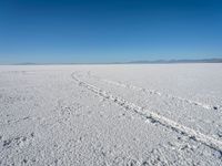 snow covered ground with footprints and tracks in the snow as a distant blue sky lies overhead