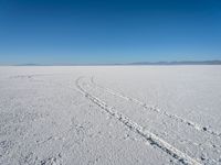 snow covered ground with footprints and tracks in the snow as a distant blue sky lies overhead