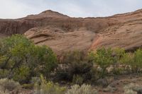 Utah Dawn: Desert Landscape of Red Rock