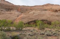 Utah Dawn: Desert Landscape of Red Rock