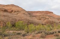 Utah Dawn: Desert Landscape of Red Rock