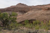 Utah Dawn: Desert Landscape of Red Rock