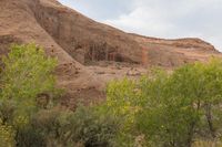 Utah Dawn: Desert Landscape of Red Rock