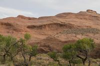 Utah Dawn: Desert Landscape of Red Rock