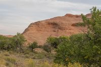 Utah Dawn: Desert Landscape of Red Rock