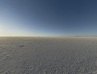 there are a bunch of footprints in the snow, with a sky background for a backdrop