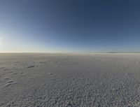 there are a bunch of footprints in the snow, with a sky background for a backdrop