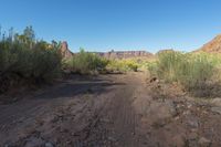 Utah Dawn Red Rock Landscape