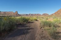 Utah Dawn Red Rock Landscape