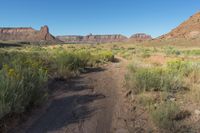 Utah Dawn Red Rock Landscape 003