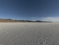 Utah Desert at Dawn: A Beautiful and Serene Landscape