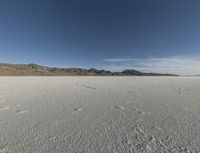 Utah Desert at Dawn: A Beautiful and Serene Landscape