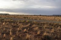 a field of brown grass and dry bushes with a sky background with lightening clouds