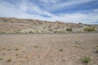 a wide desert plain with some vegetation and trees in the background with mountains in the distance