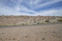 a wide desert plain with some vegetation and trees in the background with mountains in the distance