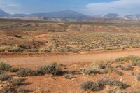 an empty dirt road runs through the desert hills near mountains, and is surrounded by shrubs