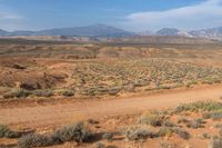 an empty dirt road runs through the desert hills near mountains, and is surrounded by shrubs