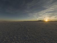 this is a desert setting with tracks and a horse on the ground and the sun in the distance