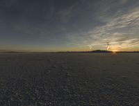 this is a desert setting with tracks and a horse on the ground and the sun in the distance