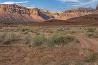 a dirt road surrounded by desert scrubbeds under a clear sky, in front of tall rock mountains