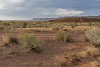 a dirt road is in the middle of desert land with sparse weeds and a mountain range