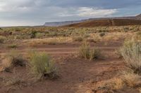 a dirt road is in the middle of desert land with sparse weeds and a mountain range