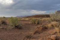 a dirt road is in the middle of desert land with sparse weeds and a mountain range