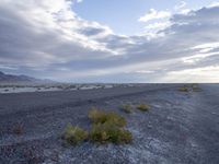 a landscape shows sparse grass and dirt on a flat desert surface under clouds, with hills, mountains, a small rock beach and trees in the distance